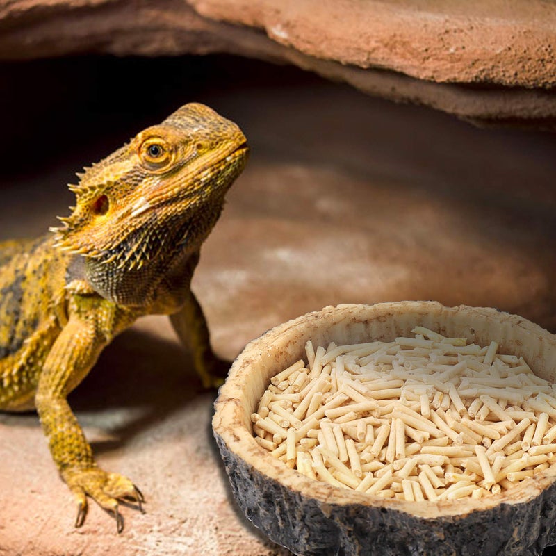 CalPalmy 2 Pack Reptile Water and Food Bowls, Novelty Food Bowl for Lizards, Young Bearded Dragons, Small Snakes and More - Made from BPA-Free Plastic - Image 2